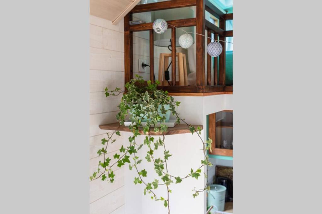 Tiny House En Baie Du Mont-Saint-Michel Βίλα Dol-de-Bretagne Εξωτερικό φωτογραφία